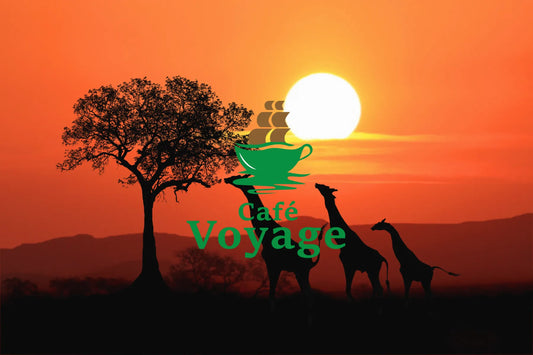 ケニア産オーガニックコーヒー - Café Voyage